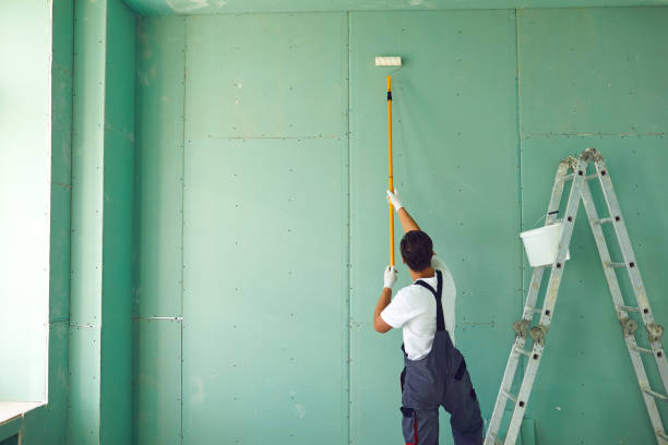Mold Odor Removal Services in Springville, UT