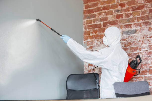 Best Real Estate Mold Inspection  in Springville, UT
