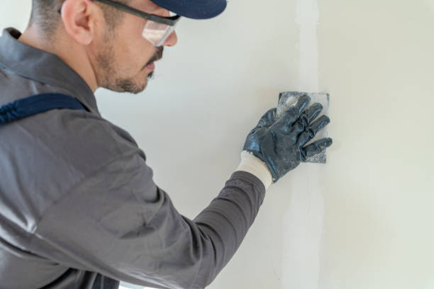 Best Black Mold Removal  in Springville, UT